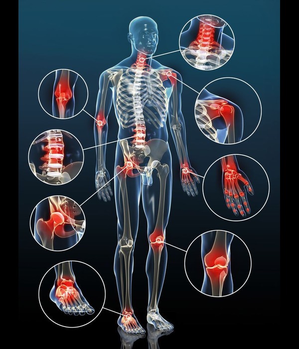 physio-align-2